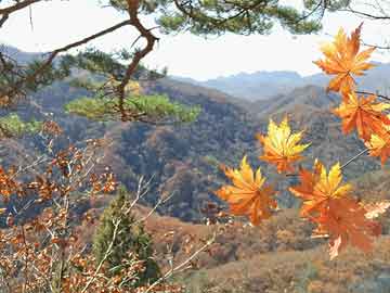 关于齐发彩票注册网址的风险提示，请通过正规渠道参与彩票活动