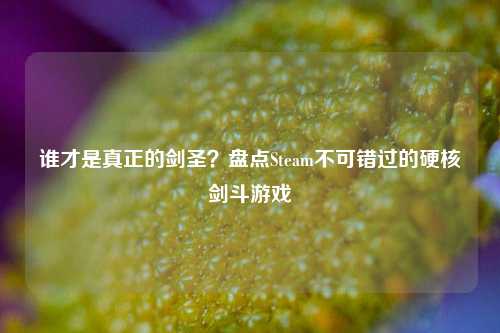 谁才是真正的剑圣？盘点Steam不可错过的硬核剑斗游戏