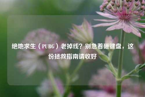 绝地求生（PUBG）老掉线？别急着砸键盘，这份拯救指南请收好