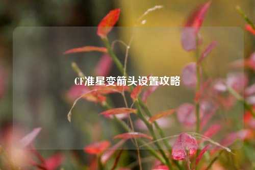 CF准星变箭头设置攻略