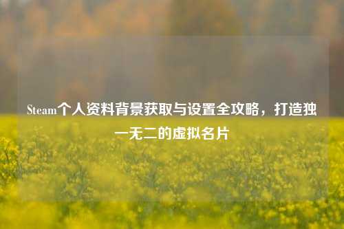 Steam个人资料背景获取与设置全攻略，打造独一无二的虚拟名片