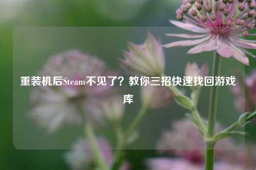 重装机后Steam不见了？教你三招快速找回游戏库