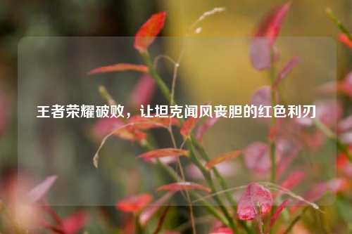 王者荣耀破败，让坦克闻风丧胆的红色利刃