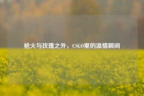 枪火与玫瑰之外，CSGO里的温情瞬间