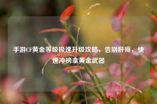 手游CF黄金等级极速升级攻略，告别肝疼，快速冲榜拿黄金武器