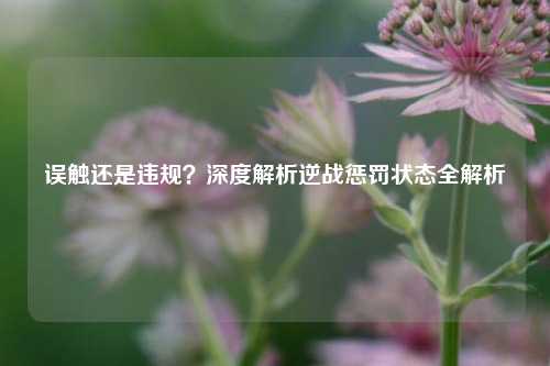 误触还是违规？深度解析逆战惩罚状态全解析