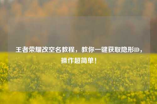 王者荣耀改空名教程，教你一键获取隐形ID，操作超简单！