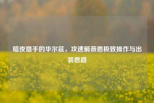 详细阅读:暗夜猎手的华尔兹,攻速箭薇恩极致操作与出装思路 暗夜猎手的华尔兹,攻速箭薇恩极致操作与出装思路