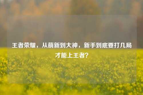 王者荣耀，从萌新到大神，新手到底要打几局才能上王者？