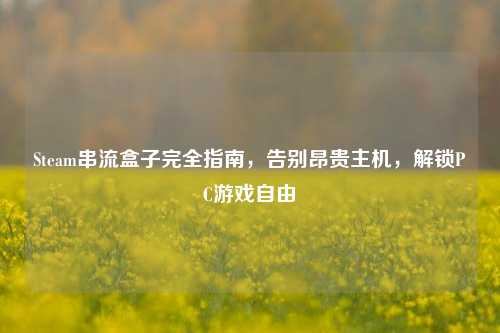 Steam串流盒子完全指南,告别昂贵主机,解锁PC游戏自由