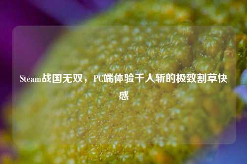 Steam战国无双，PC端体验千人斩的极致割草快感