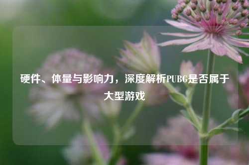 硬件、体量与影响力，深度解析PUBG是否属于大型游戏