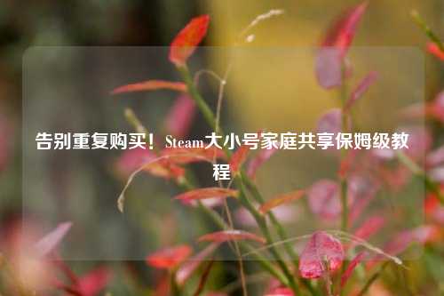 告别重复购买！Steam大小号家庭共享保姆级教程
