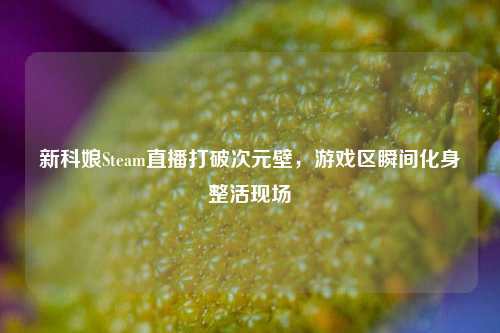 新科娘Steam直播打破次元壁，游戏区瞬间化身整活现场