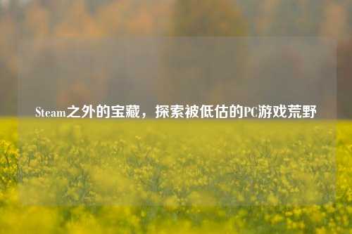 Steam之外的宝藏,探索被低估的PC游戏荒野
