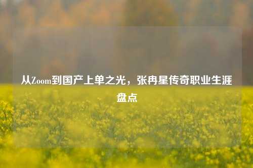 从Zoom到国产上单之光,张冉星传奇职业生涯盘点