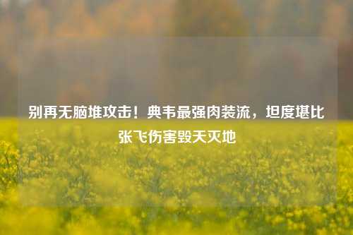 别再无脑堆攻击！典韦最强肉装流，坦度堪比张飞伤害毁天灭地