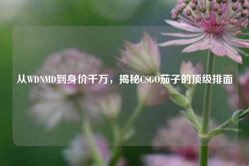 从WDNMD到身价千万，揭秘CSGO茄子的顶级排面