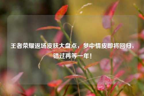 王者荣耀返场皮肤大盘点,梦中情皮即将回归,错过再等一年!