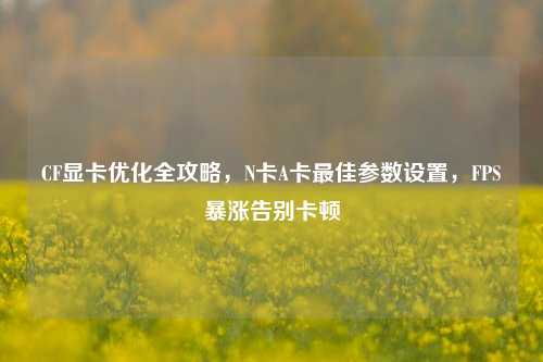 CF显卡优化全攻略，N卡A卡最佳参数设置，FPS暴涨告别卡顿