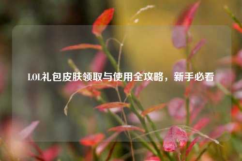 LOL礼包皮肤领取与使用全攻略，新手必看