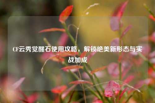 CF云秀觉醒石使用攻略,解锁绝美新形态与实战加成