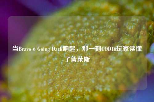 当Bravo 6 Going Dark响起,那一刻COD16玩家读懂了普莱斯
