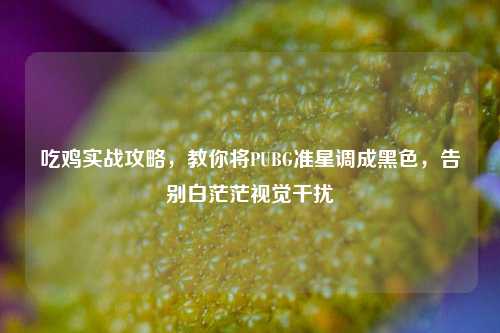 吃鸡实战攻略,教你将PUBG准星调成黑色,告别白茫茫视觉干扰