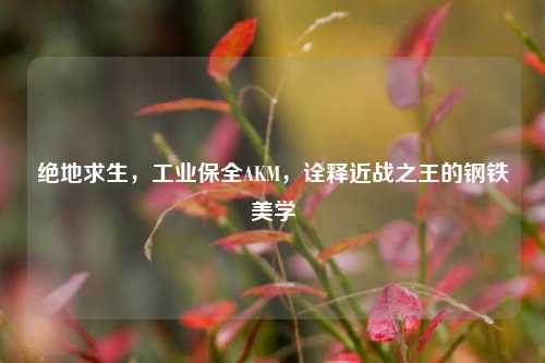 绝地求生，工业保全AKM，诠释近战之王的钢铁美学