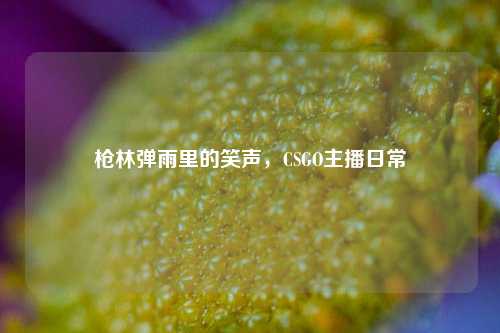 枪林弹雨里的笑声,CSGO主播日常
