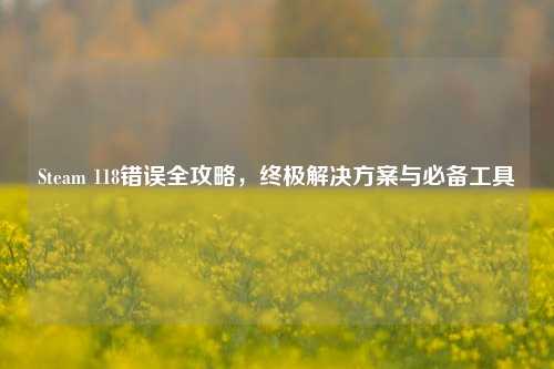 Steam 118错误全攻略,终极解决方案与必备工具