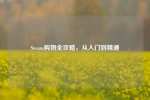 Steam购物全攻略，从入门到精通