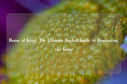 详细阅读:Honor of Kings: The Ultimate English Guide to Dominating the Game Honor of Kings: The Ultimate English Guide to Dominating the Game