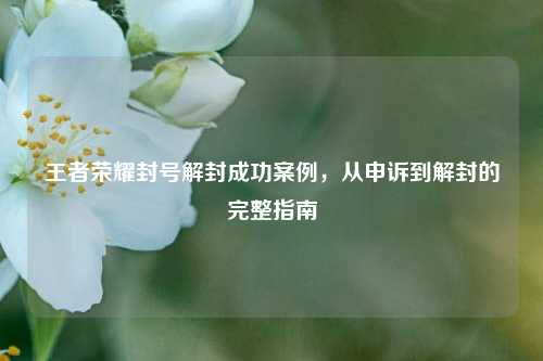 王者荣耀封号解封成功案例,从申诉到解封的完整指南