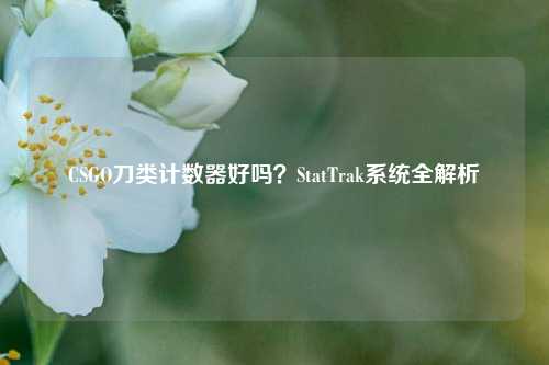CSGO刀类计数器好吗?StatTrak系统全解析