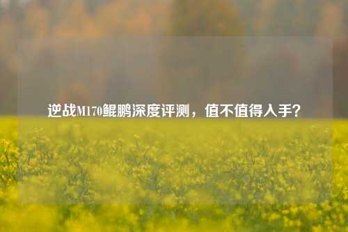 逆战M170鲲鹏深度评测,值不值得入手?