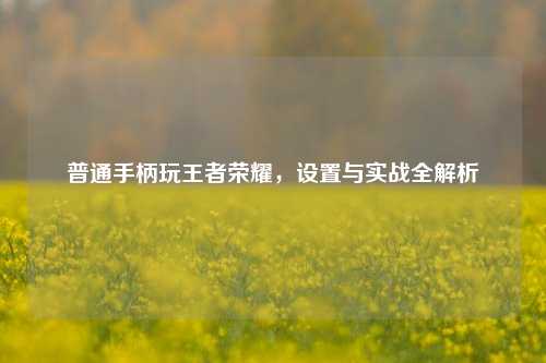 普通手柄玩王者荣耀，设置与实战全解析
