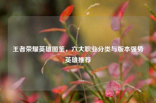 王者荣耀英雄图鉴，六大职业分类与版本强势英雄推荐