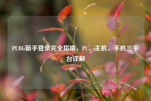 PUBG新手登录完全指南，PC、主机、手机三平台详解