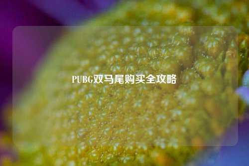 PUBG双马尾购买全攻略