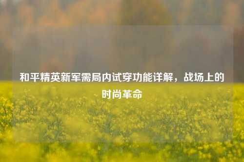 和平精英新军需局内试穿功能详解,战场上的时尚革命