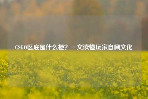 CSGO区底是什么梗?一文读懂玩家自嘲文化