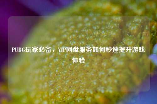 PUBG玩家必备，VIP网盘服务如何秒速提升游戏体验