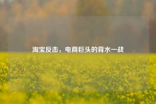 淘宝反击，电商巨头的背水一战