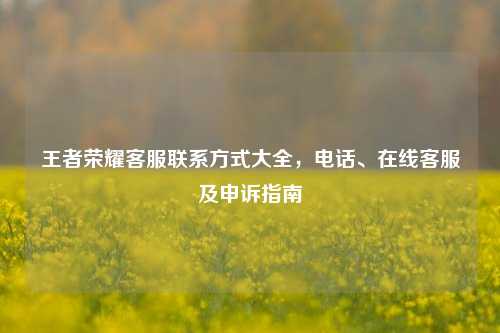 王者荣耀客服联系方式大全,电话、在线客服及申诉指南