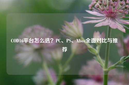 COD16平台怎么选？PC、PS、Xbox全面对比与推荐