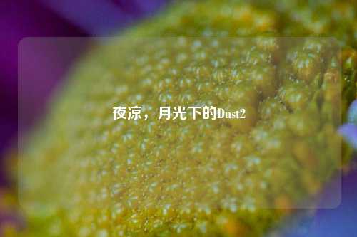 夜凉，月光下的Dust2