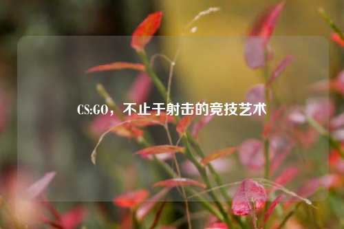 CS:GO，不止于射击的竞技艺术