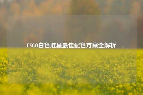 CSGO白色准星最佳配色方案全解析