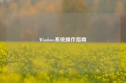 Windows系统操作指南